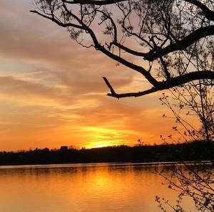 Meet your Posher, Salina